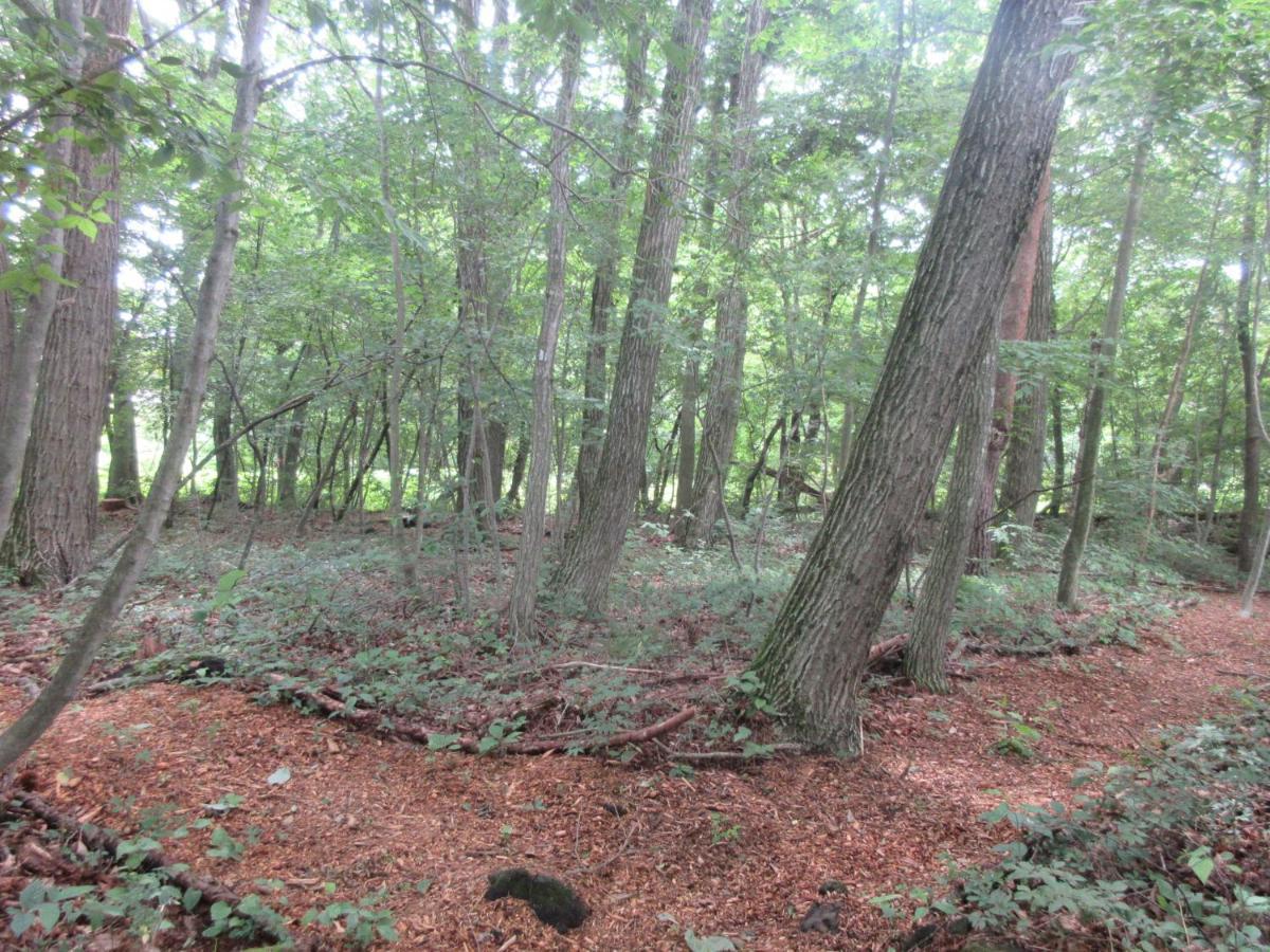 Dogruncafe & Resorts Jennie West-Karuizawa Miyota Exteriör bild